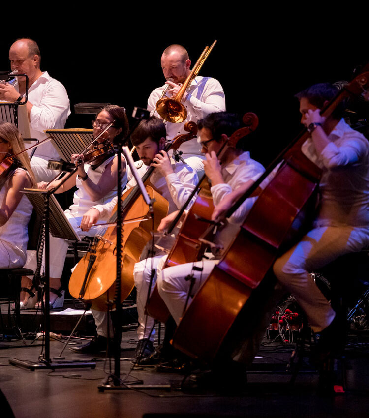 Book the Adelaide Concert Orchestra